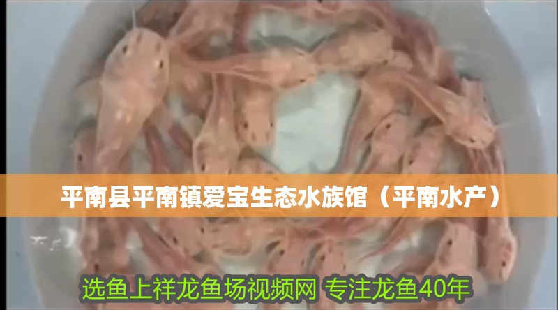 平南縣平南鎮愛寶生態水族館（平南水產）