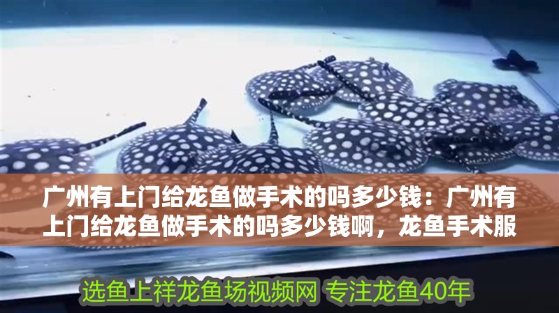 廣州有上門給龍魚做手術(shù)的嗎多少錢：廣州有上門給龍魚做手術(shù)的嗎多少錢啊，龍魚手術(shù)服務(wù)價(jià)格