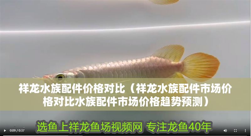 祥龍水族配件價(jià)格對(duì)比（祥龍水族配件市場(chǎng)價(jià)格對(duì)比水族配件市場(chǎng)價(jià)格趨勢(shì)預(yù)測(cè)）