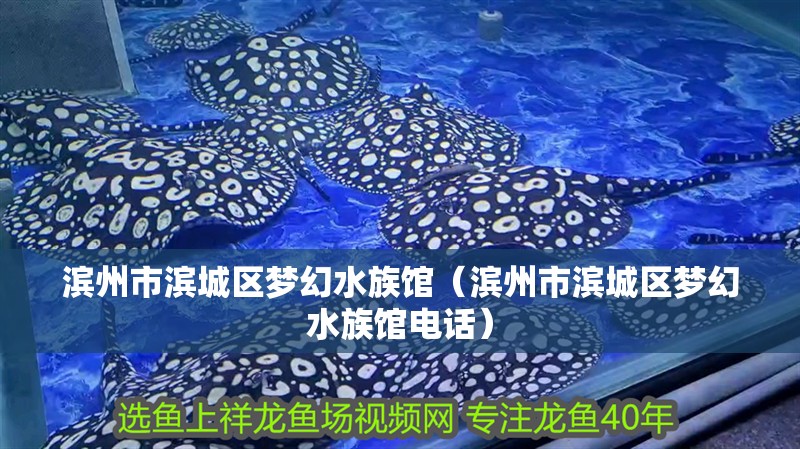 濱州市濱城區夢幻水族館（濱州市濱城區夢幻水族館電話）