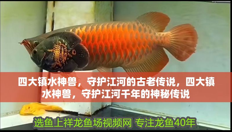 四大鎮水神獸，守護江河的古老傳說，四大鎮水神獸，守護江河千年的神秘傳說