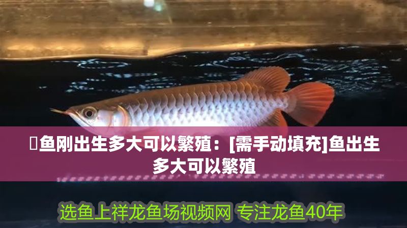魟魚剛出生多大可以繁殖：[需手動填充]魚出生多大可以繁殖