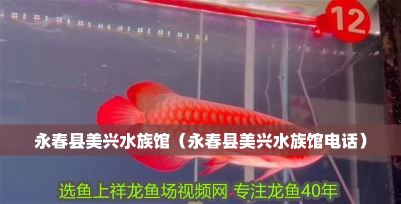 永春縣美興水族館（永春縣美興水族館電話）