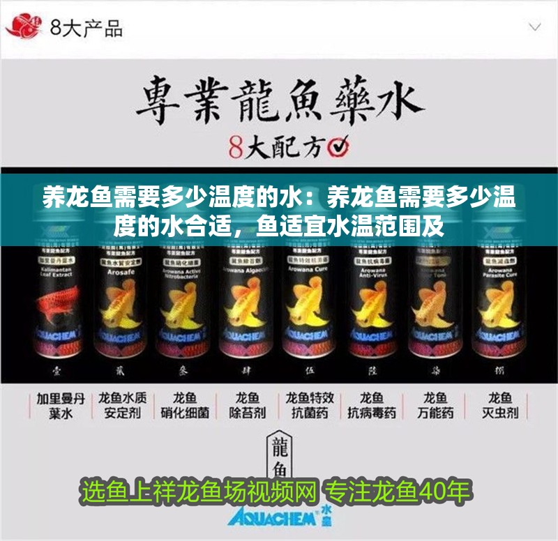 養龍魚需要多少溫度的水：養龍魚需要多少溫度的水合適，魚適宜水溫范圍及