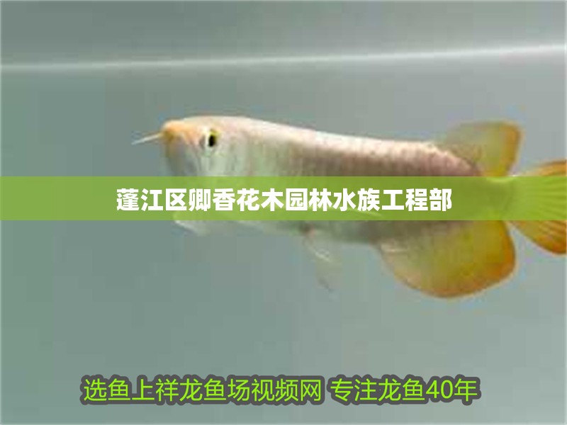 蓬江區卿香花木園林水族工程部