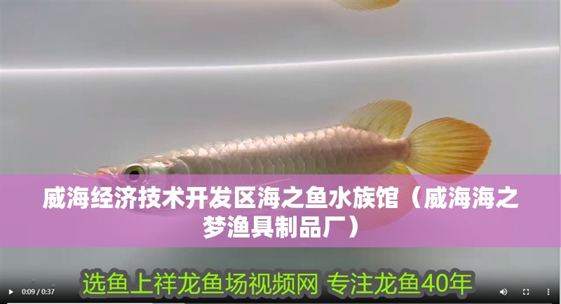威海經濟技術開發區海之魚水族館（威海海之夢漁具制品廠）
