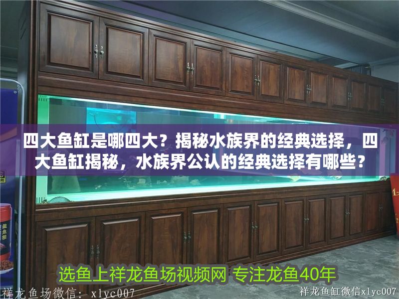 四大魚缸是哪四大？揭秘水族界的經(jīng)典選擇，四大魚缸揭秘，水族界公認的經(jīng)典選擇有哪些？