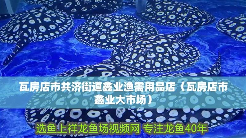 瓦房店市共濟街道鑫業(yè)漁需用品店（瓦房店市鑫業(yè)大市場）