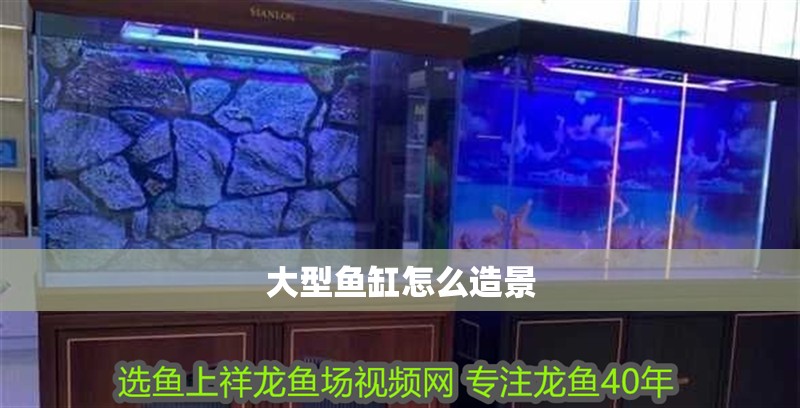 大型魚缸怎么造景