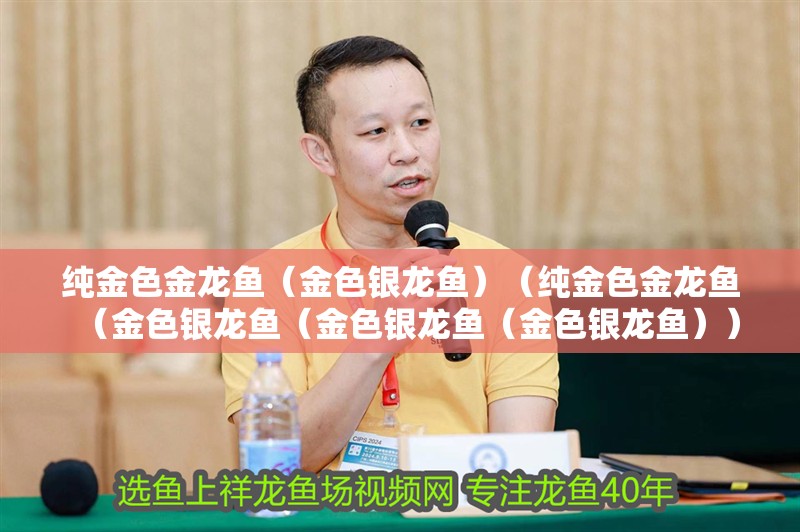 純金色金龍魚（金色銀龍魚）（純金色金龍魚（金色銀龍魚（金色銀龍魚（金色銀龍魚））
