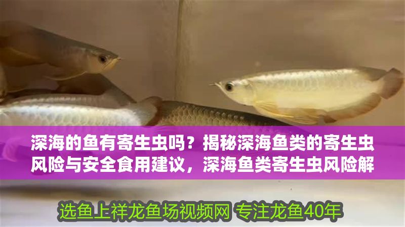 深海的魚有寄生蟲嗎？揭秘深海魚類的寄生蟲風險與安全食用建議，深海魚類寄生蟲風險解析及安全食用指南