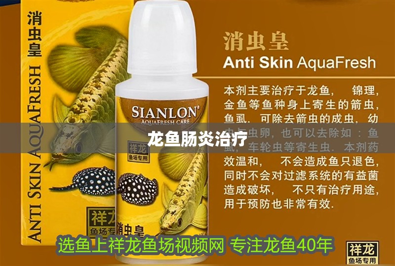 龍魚腸炎治療