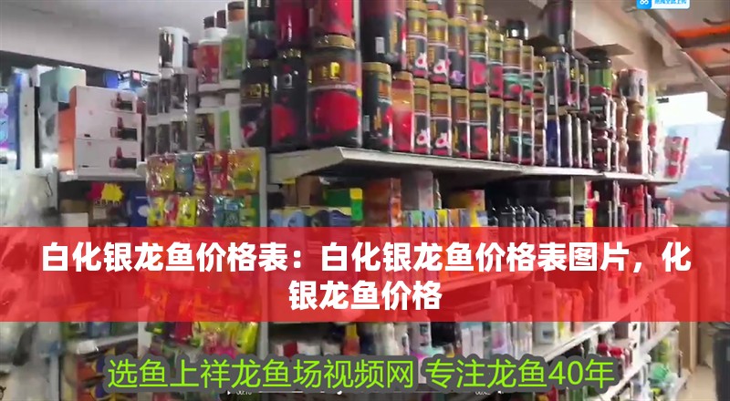 白化銀龍魚價格表：白化銀龍魚價格表圖片，化銀龍魚價格