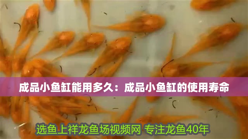 成品小魚缸能用多久：成品小魚缸的使用壽命