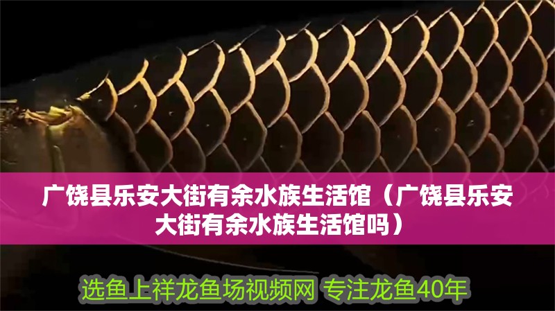 廣饒縣樂安大街有余水族生活館（廣饒縣樂安大街有余水族生活館嗎）