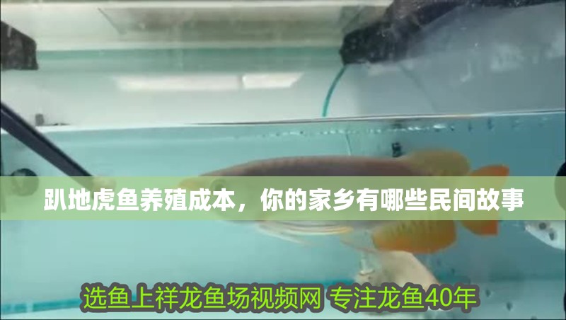 趴地虎魚養殖成本，你的家鄉有哪些民間故事