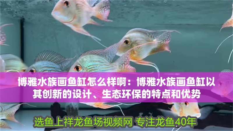博雅水族畫魚缸怎么樣啊：博雅水族畫魚缸以其創新的設計、生態環保的特點和優勢