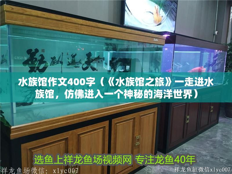 水族館作文400字(《水族館之旅》一走進水族館,仿佛進入一個神秘的海洋世界) 水族館百科(水族館加盟) 第1張 水族館作文400字(《水族館之旅》一走進水族館,仿佛進入一個神秘的海洋世界) 水族館作文400字(《水族館之旅》一走進水族館,仿佛進入一個神秘的海洋世界) 水族館百科(水族館加盟) 第1張