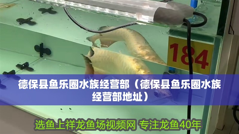 德保縣魚樂圈水族經營部（德保縣魚樂圈水族經營部地址）