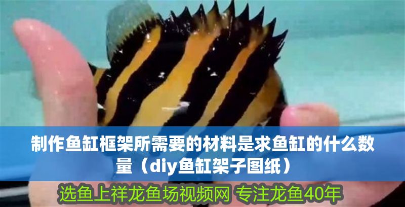 制作魚缸框架所需要的材料是求魚缸的什么數(shù)量（diy魚缸架子圖紙）
