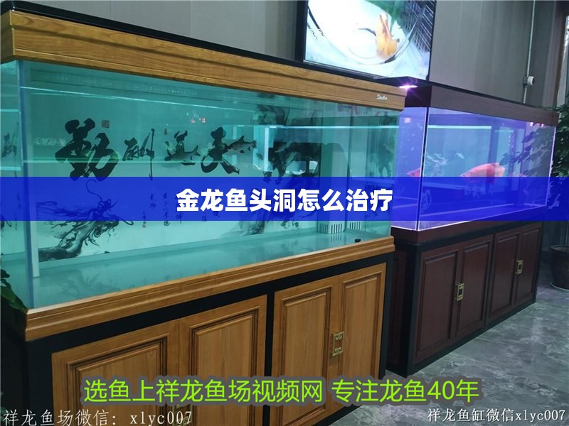 金龍魚頭洞怎么治療