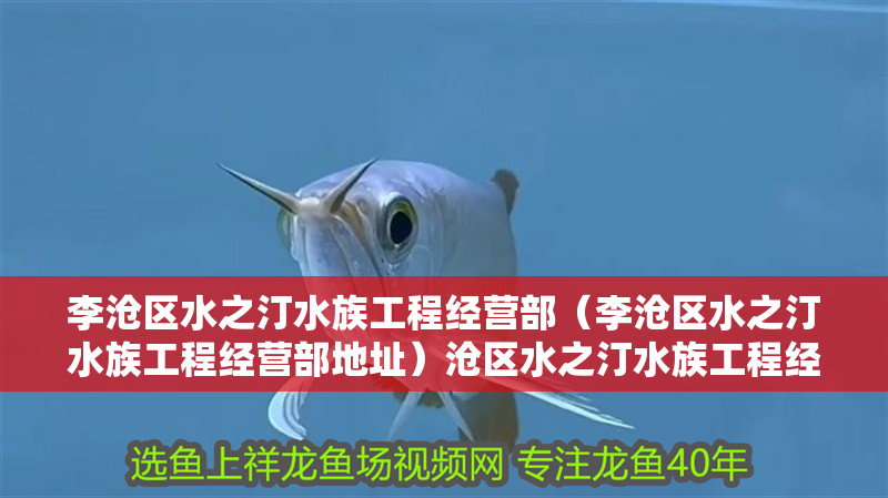 李滄區(qū)水之汀水族工程經(jīng)營(yíng)部（李滄區(qū)水之汀水族工程經(jīng)營(yíng)部地址）滄區(qū)水之汀水族工程經(jīng)營(yíng)部詳細(xì)地址及聯(lián)系方式 李滄區(qū)水之汀水族工程經(jīng)營(yíng)部（李滄區(qū)水之汀水族工程經(jīng)營(yíng)部地址）滄區(qū)水之汀水族工程經(jīng)營(yíng)部詳細(xì)地址及聯(lián)系方式 全國(guó)水族館企業(yè)名錄 第2張