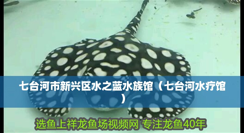 七臺河市新興區水之藍水族館（七臺河水療館）