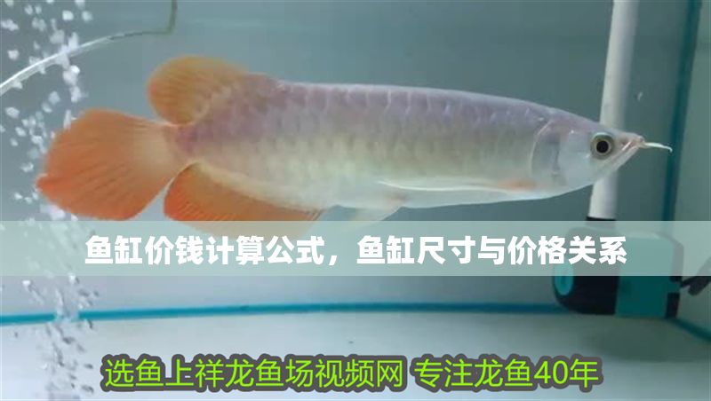 魚缸價錢計算公式，魚缸尺寸與價格關系