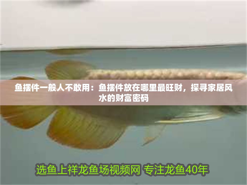詳細閱讀:魚擺件一般人不敢用:魚擺件放在哪里最旺財,探尋家居風水的財富密碼 魚擺件一般人不敢用:魚擺件放在哪里最旺財,探尋家居風水的財富密碼