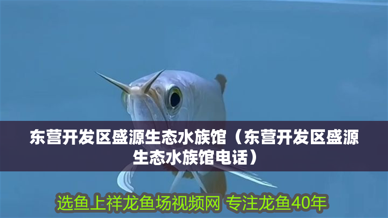 東營開發區盛源生態水族館（東營開發區盛源生態水族館電話）