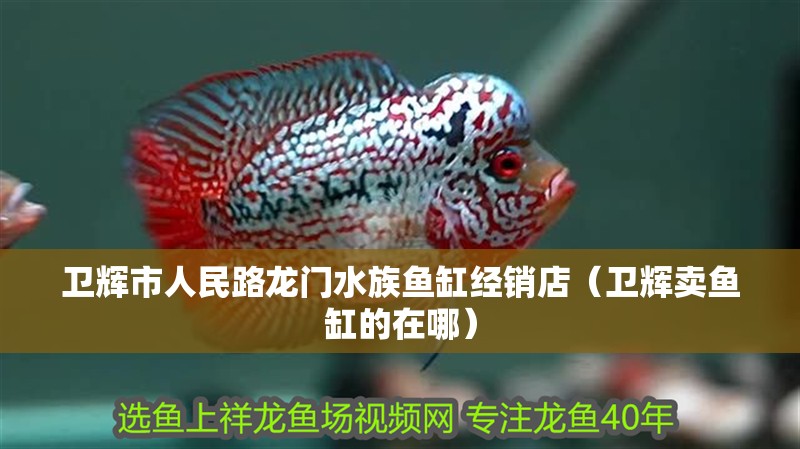 衛輝市人民路龍門水族魚缸經銷店（衛輝賣魚缸的在哪）