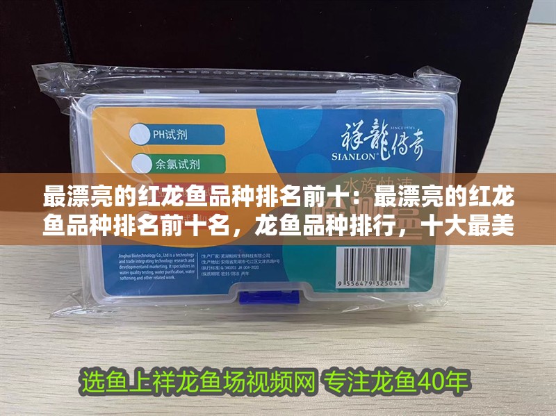 最漂亮的紅龍魚品種排名前十：最漂亮的紅龍魚品種排名前十名，龍魚品種排行，十大最美麗的紅
