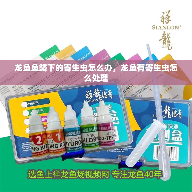 龍魚魚鱗下的寄生蟲怎么辦，龍魚有寄生蟲怎么處理