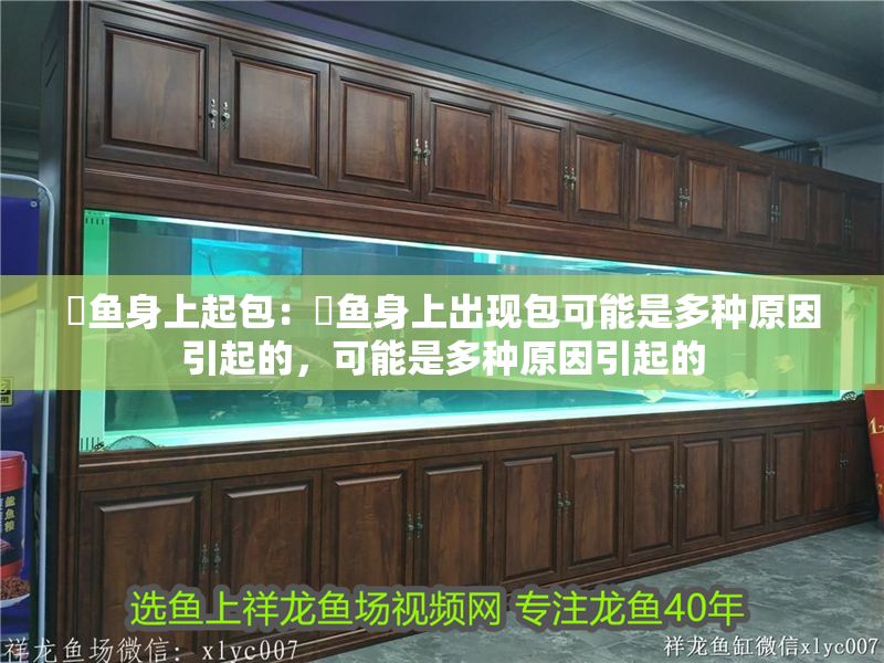 魟魚身上起包：魟魚身上出現(xiàn)包可能是多種原因引起的，可能是多種原因引起的