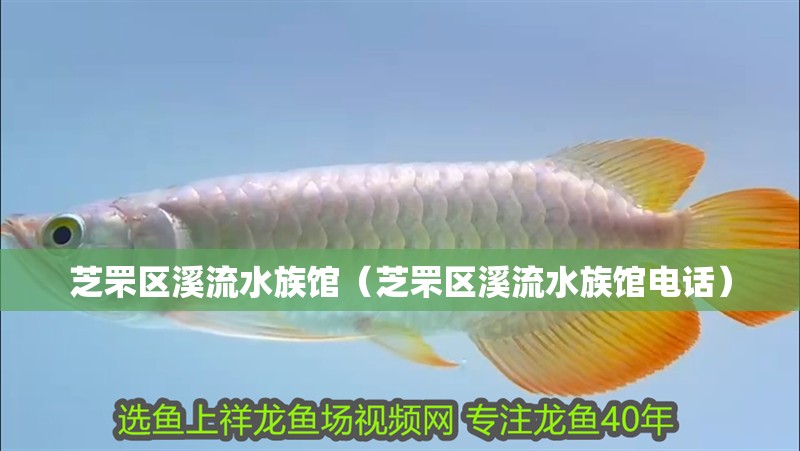 芝罘區(qū)溪流水族館（芝罘區(qū)溪流水族館電話）