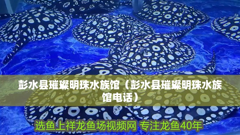 彭水縣璀璨明珠水族館（彭水縣璀璨明珠水族館電話）