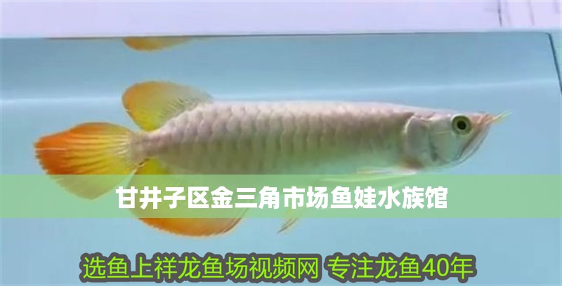 甘井子區(qū)金三角市場(chǎng)魚(yú)娃水族館