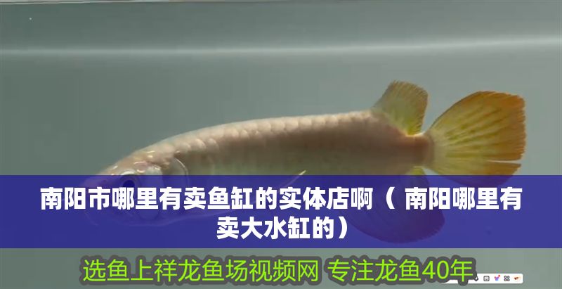 南陽市哪里有賣魚缸的實體店啊（ 南陽哪里有賣大水缸的）