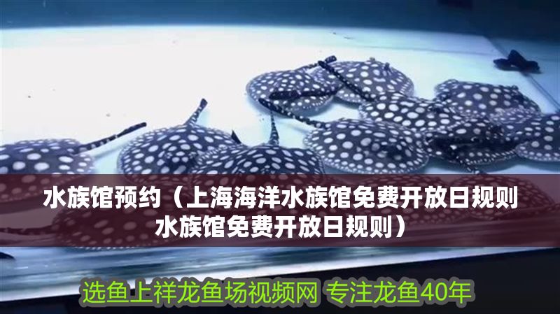水族館預(yù)約（上海海洋水族館免費(fèi)開(kāi)放日規(guī)則水族館免費(fèi)開(kāi)放日規(guī)則）