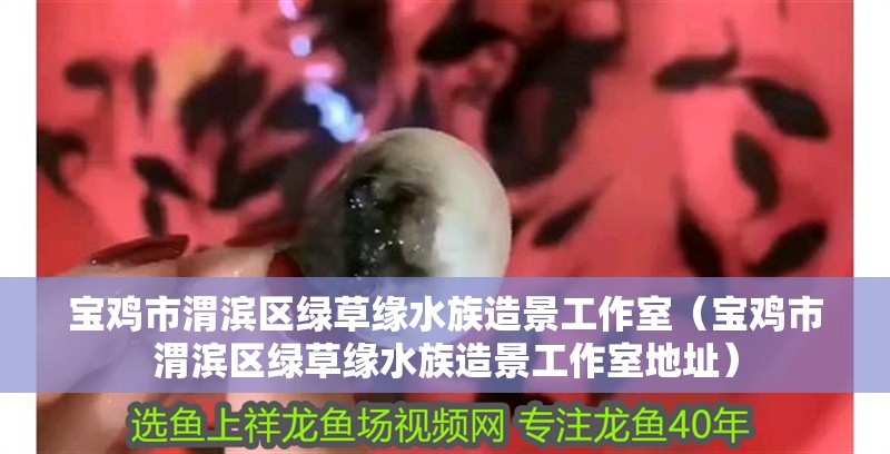寶雞市渭濱區綠草緣水族造景工作室（寶雞市渭濱區綠草緣水族造景工作室地址）