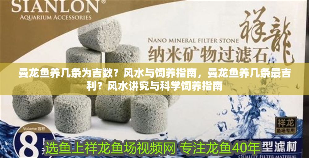 曼龍魚(yú)養(yǎng)幾條為吉數(shù)？風(fēng)水與飼養(yǎng)指南，曼龍魚(yú)養(yǎng)幾條最吉利？風(fēng)水講究與科學(xué)飼養(yǎng)指南