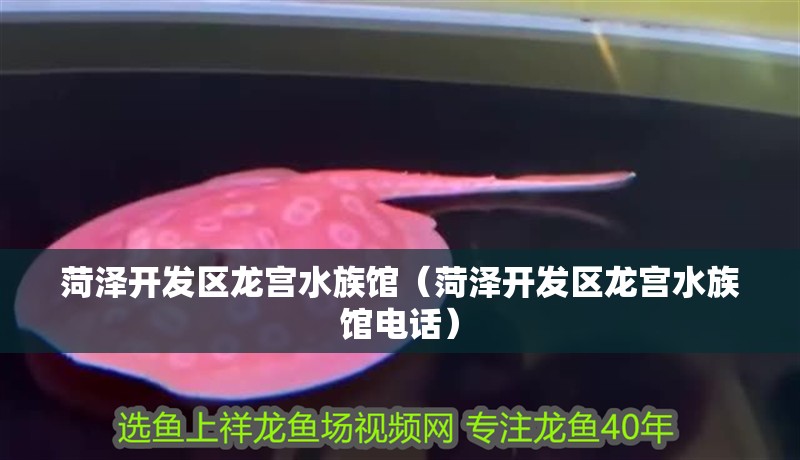 菏澤開發區龍宮水族館（菏澤開發區龍宮水族館電話）