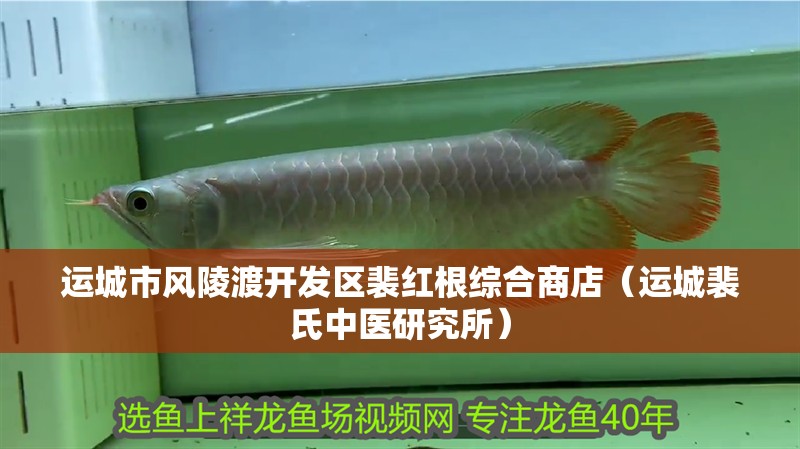 運城市風陵渡開發區裴紅根綜合商店(運城裴氏中醫研究所) 全國水族館企業名錄 第2張 運城市風陵渡開發區裴紅根綜合商店(運城裴氏中醫研究所) 運城市風陵渡開發區裴紅根綜合商店(運城裴氏中醫研究所) 全國水族館企業名錄 第2張