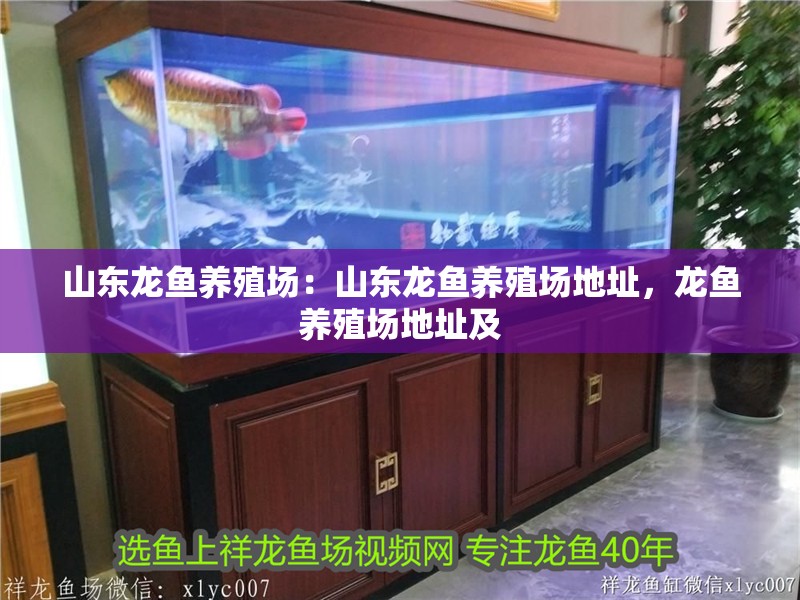 山東龍魚養殖場：山東龍魚養殖場地址，龍魚養殖場地址及