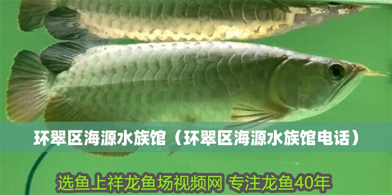 環(huán)翠區(qū)海源水族館（環(huán)翠區(qū)海源水族館電話(huà)）