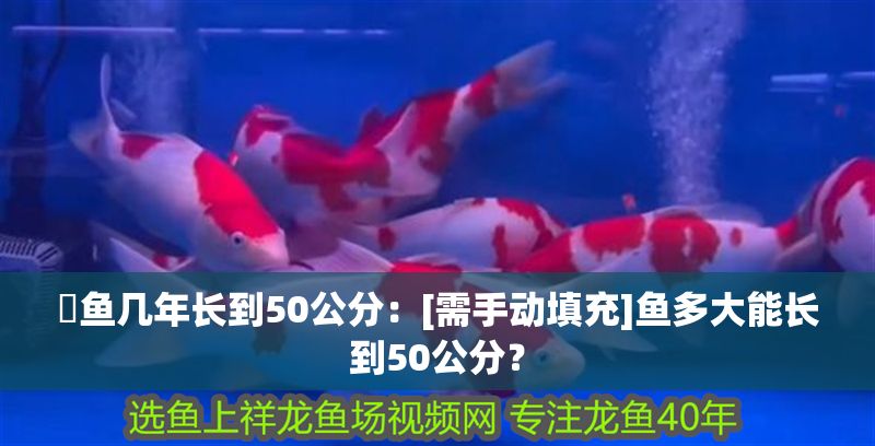 魟魚幾年長到50公分：[需手動填充]魚多大能長到50公分？