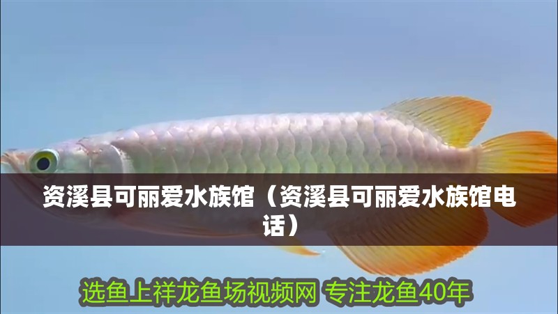 資溪縣可麗愛水族館（資溪縣可麗愛水族館電話）
