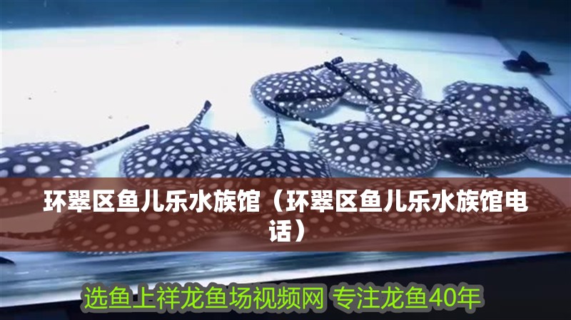 環(huán)翠區(qū)魚兒樂水族館（環(huán)翠區(qū)魚兒樂水族館電話）