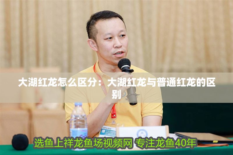 大湖紅龍?jiān)趺磪^(qū)分：大湖紅龍與普通紅龍的區(qū)別