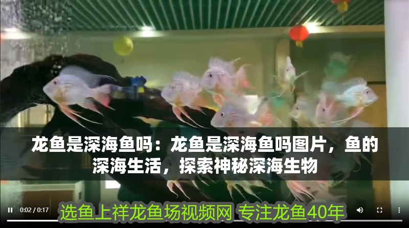 龍魚是深海魚嗎：龍魚是深海魚嗎圖片，魚的深海生活，探索神秘深海生物